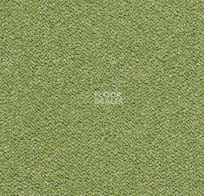 Ковровая плитка Tessera Chroma 3617 Botanical фото 1 | FLOORDEALER